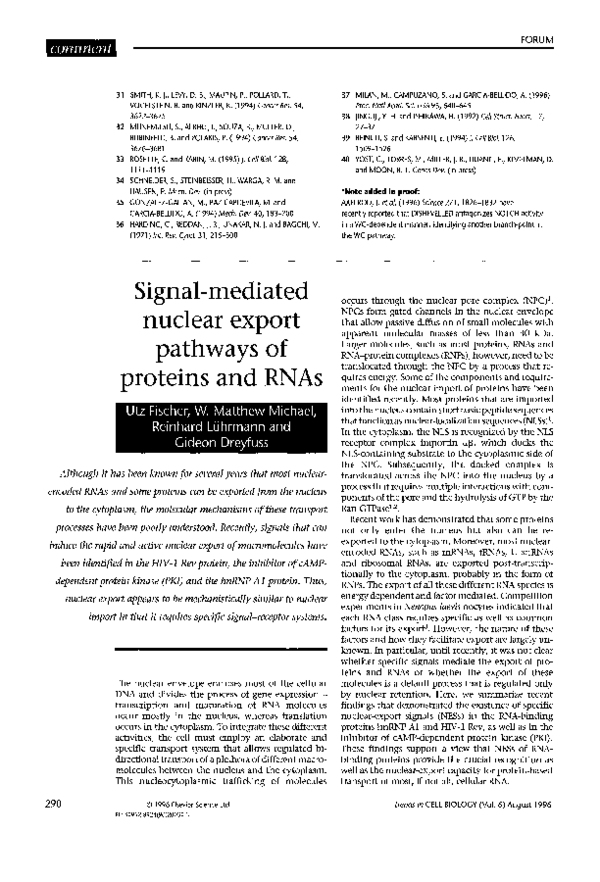(PDF) Signal-mediated nuclear export pathways of proteins and RNAs