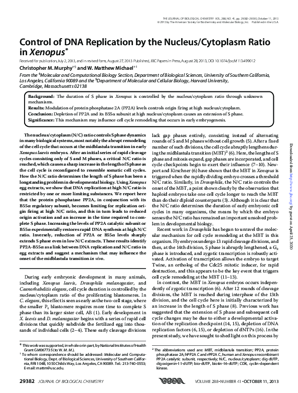 (PDF) Control of DNA Replication by the Nucleus/Cytoplasm Ratio in Xenopus