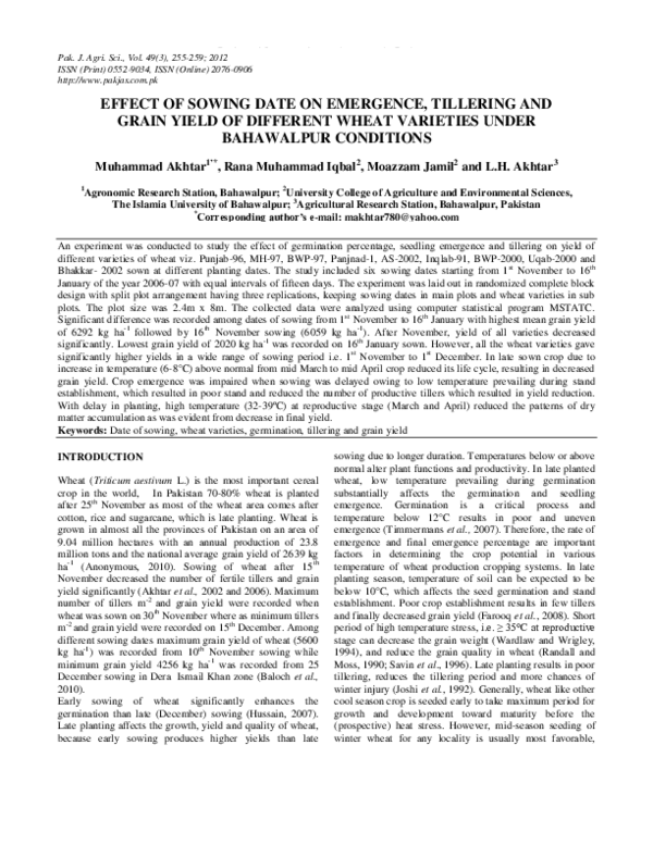 (PDF) Effect of sowing date on emergence, tillering and grain yield of ...