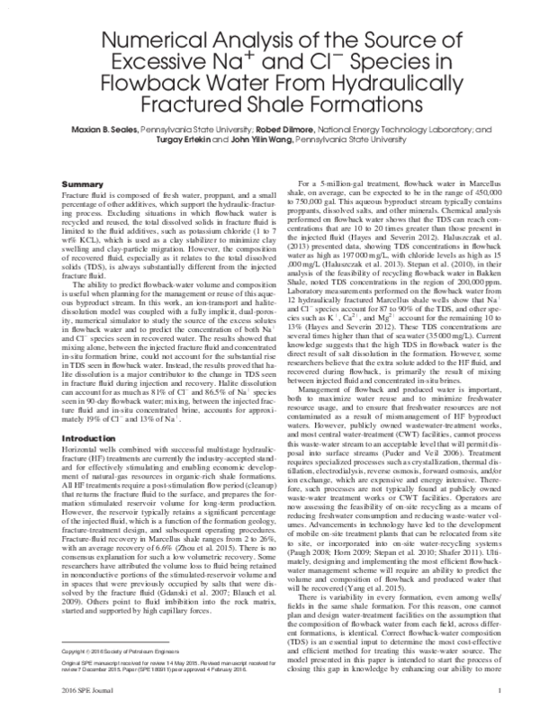 (PDF) Numerical Analysis of the Source of Excessive Na+ and Cl- Species ...