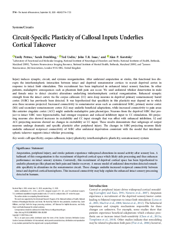 (PDF) Circuit-Specific Plasticity of Callosal Inputs Underlies Cortical ...