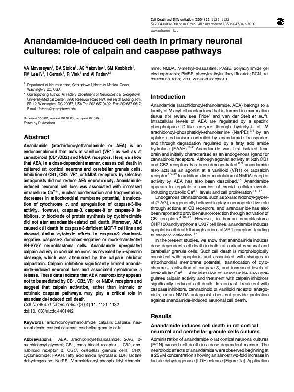 (PDF) Anandamide-induced cell death in primary neuronal cultures: role ...