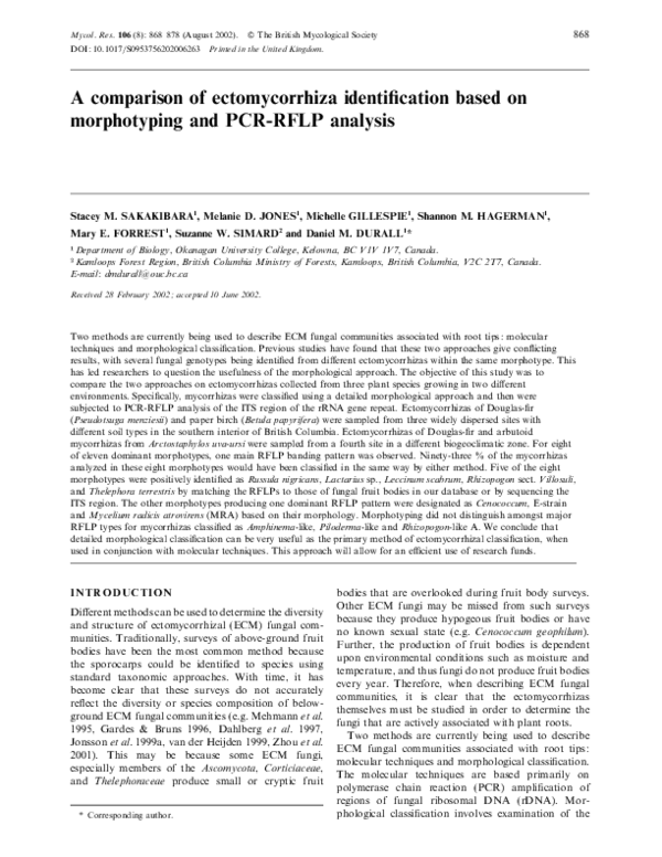 (PDF) A comparison of ectomycorrhiza identification based on ...