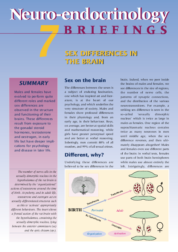 (PDF) Sex Differences in the Brain