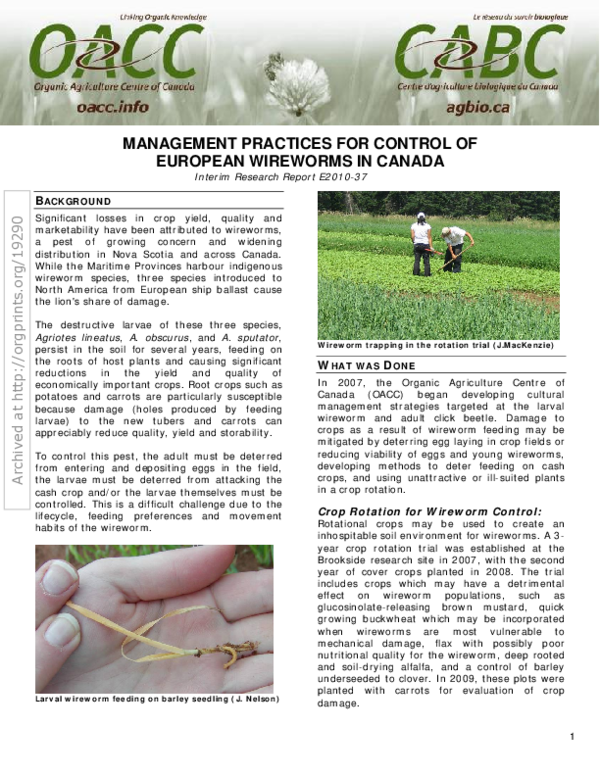 (PDF) Management Practices for Control of European Wireworms in Canada