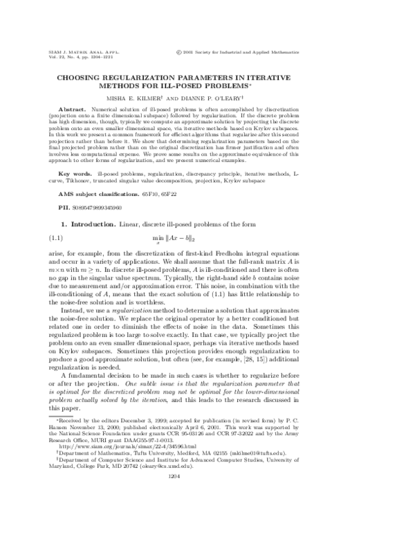 (PDF) Choosing Regularization Parameters in Iterative Methods for Ill ...