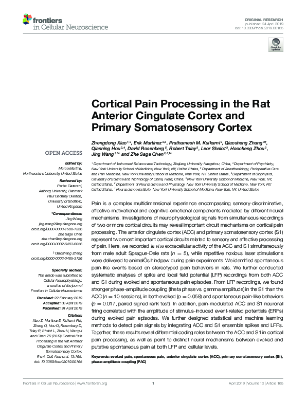 (PDF) Cortical Pain Processing in the Rat Anterior Cingulate Cortex and ...