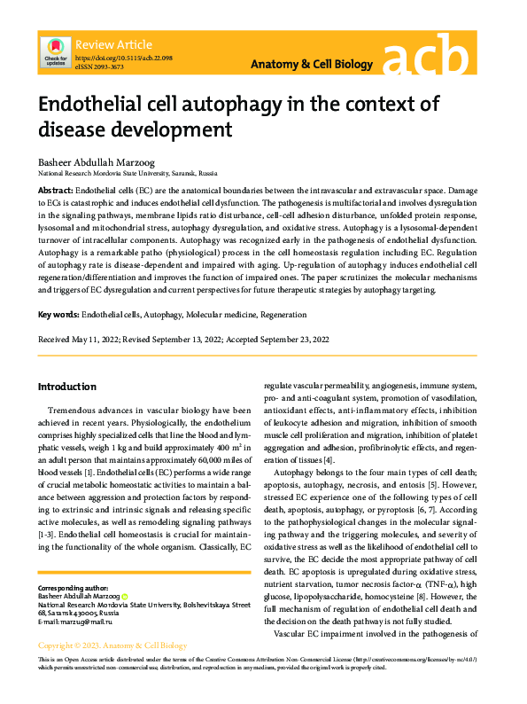 (PDF) Endothelial cell autophagy in the context of disease development