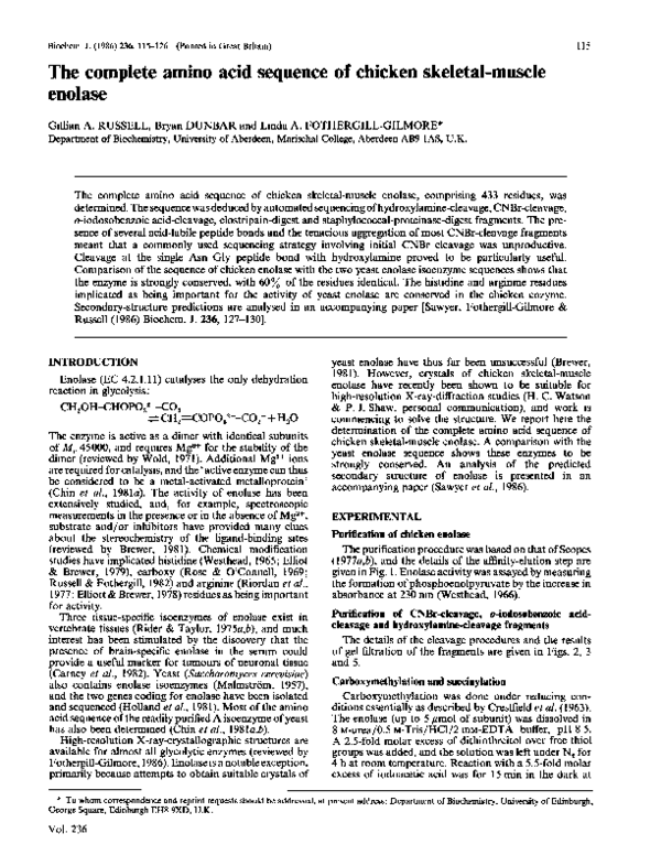 (PDF) The complete amino acid sequence of chicken skeletal-muscle enolase