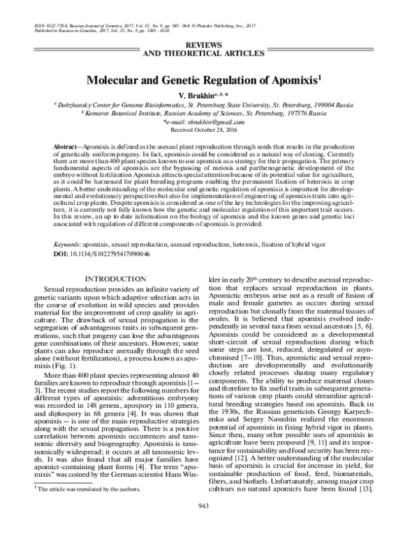 (PDF) Molecular and genetic regulation of apomixis