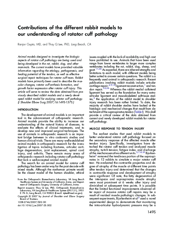 (PDF) Contributions of the different rabbit models to our understanding ...