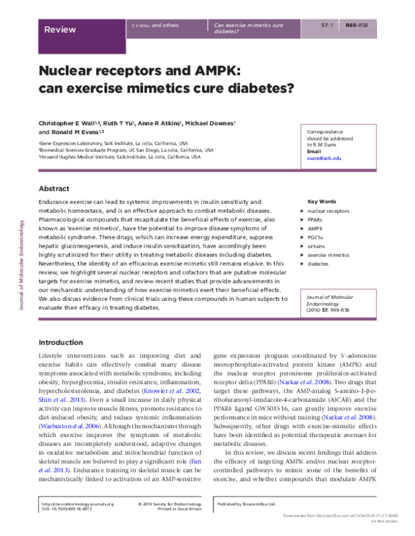 (PDF) Nuclear receptors and AMPK: can exercise mimetics cure diabetes