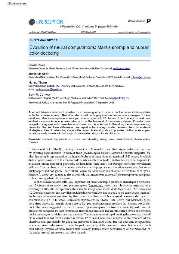 (PDF) Evolution of Neural Computations: Mantis Shrimp and Human Color ...