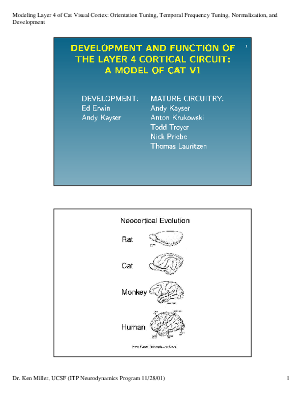 (PDF) Nonlinear Analysis of Simple Cell Tuning in Visual Cortex