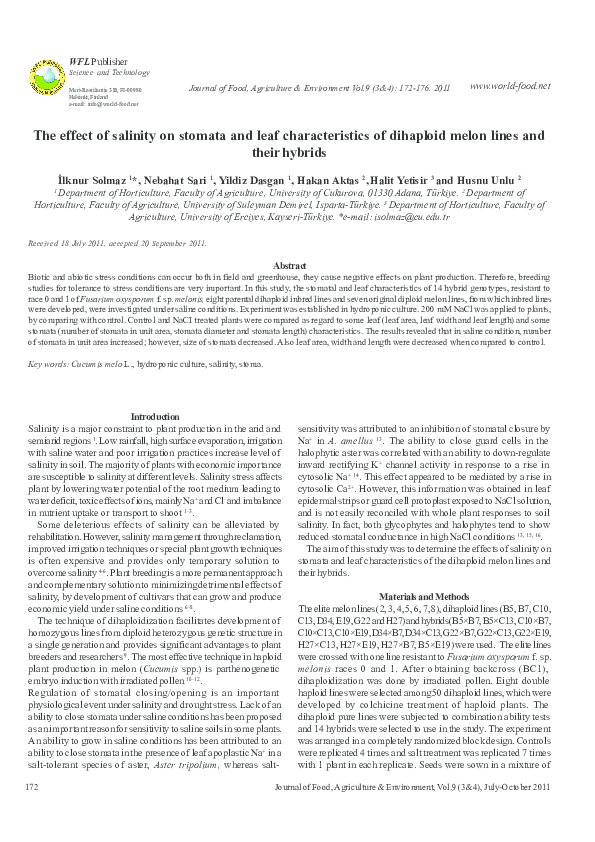 Leaf structure image