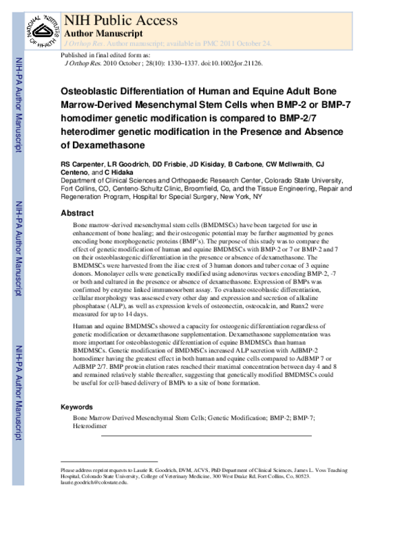 (PDF) Osteoblastic differentiation of human and equine adult bone ...