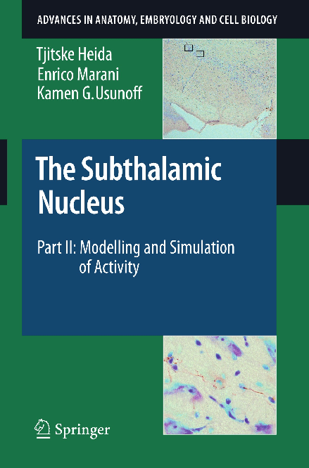 (PDF) The Subthalamic Nucleus Part II: Modelling and Simulation of Activity