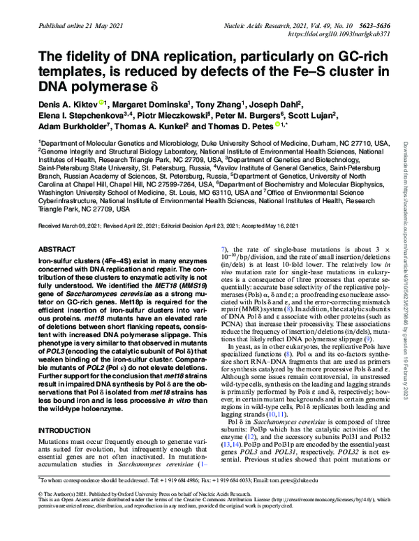 (PDF) The fidelity of DNA replication, particularly on GC-rich ...