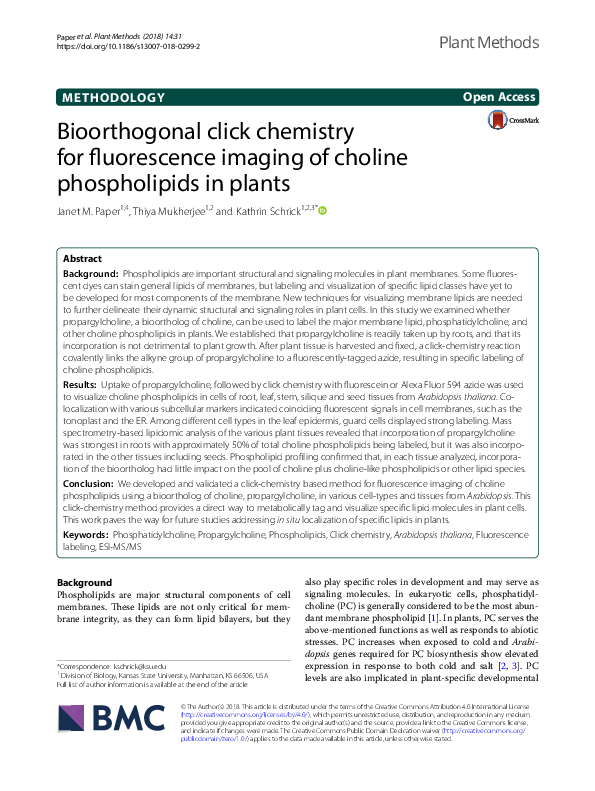 (PDF) Bioorthogonal click chemistry for fluorescence imaging of choline ...