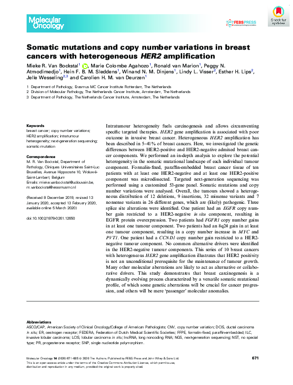 (PDF) Somatic mutations and copy number variations in breast cancers ...
