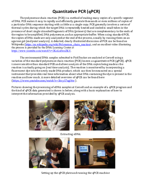(PDF) Quantitative Pcr (Qpcr)