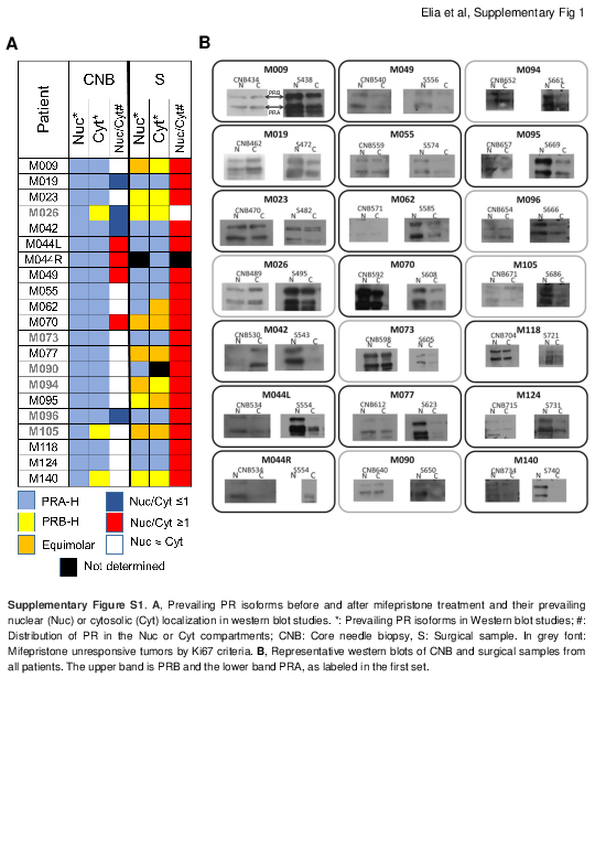 (PDF) Supplementary Figure S1 from Beneficial Effects of Mifepristone ...