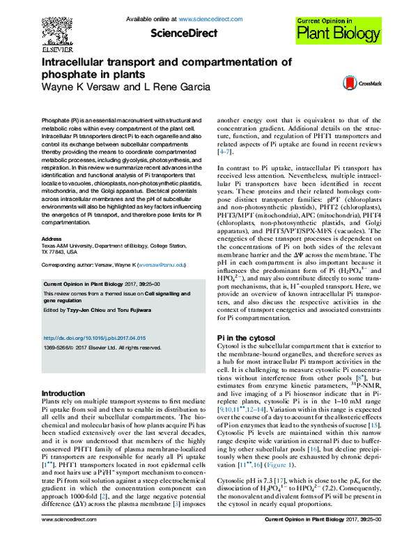 (PDF) Intracellular transport and compartmentation of phosphate in plants