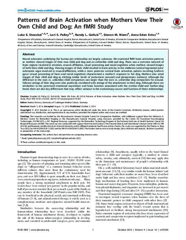 (PDF) Patterns of Brain Activation when Mothers View Their Own Child ...