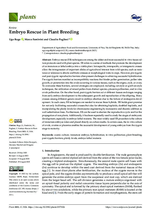 (PDF) Embryo Rescue in Plant Breeding