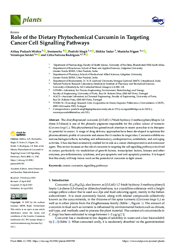 (PDF) Role of the Dietary Phytochemical Curcumin in Targeting Cancer ...