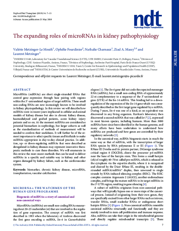 (PDF) The expanding roles of microRNAs in kidney pathophysiology