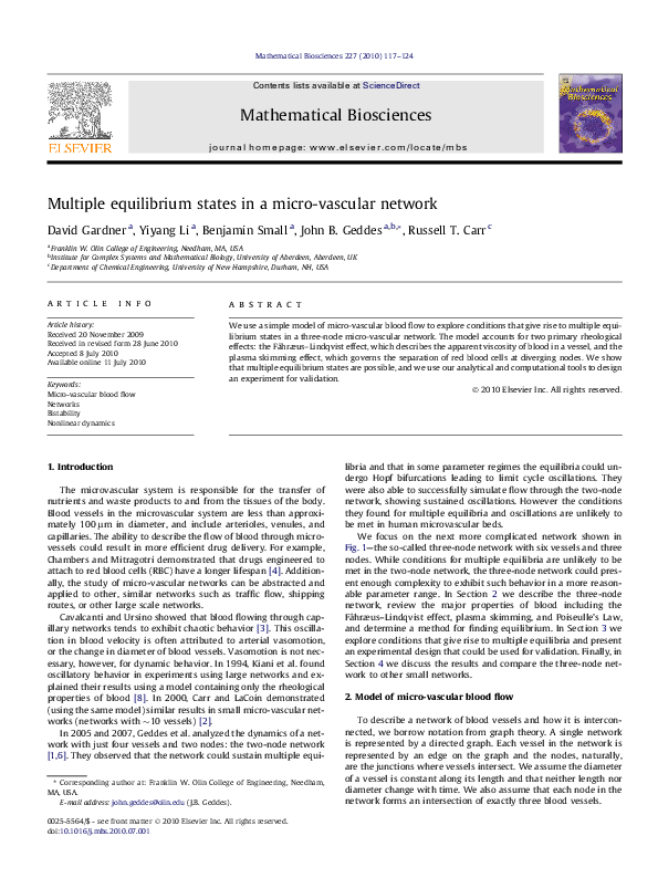 (PDF) Multiple equilibrium states in a micro-vascular network