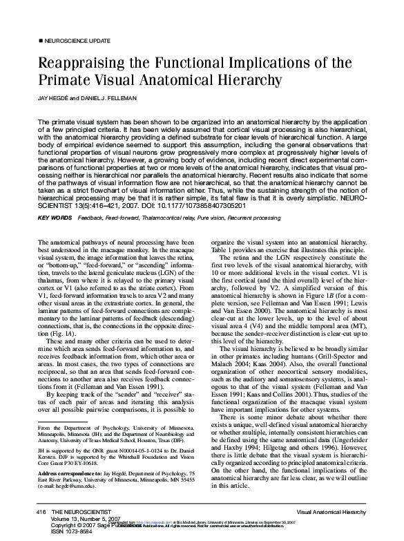 (PDF) Reappraising the Functional Implications of the Primate Visual ...