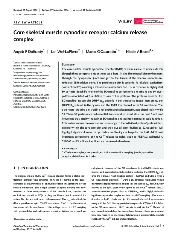 (PDF) Core skeletal muscle ryanodine receptor calcium release complex