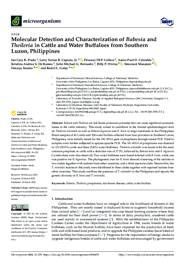 (PDF) Molecular Detection and Characterization of Babesia and Theileria ...