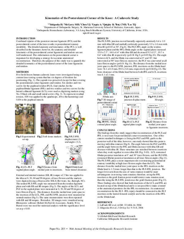 (PDF) Kinematics of the Posterolateral Corner of the Knee: A Cadaveric ...