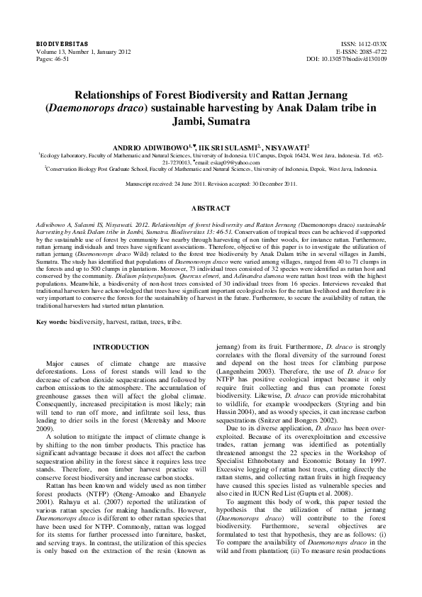 (PDF) Relationships of Forest Biodiversity and Rattan Jernang ...
