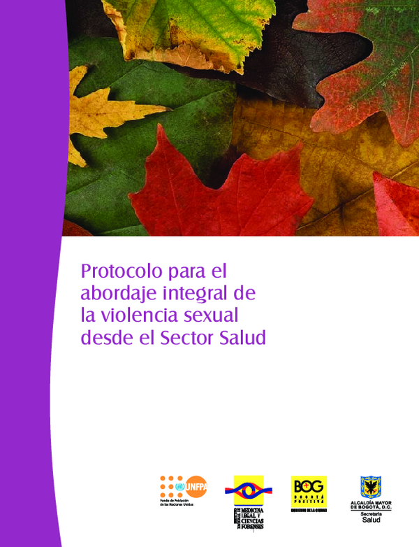 (PDF) Protocolo para el Abordaje Integral de la Violencia Sexual desde ...