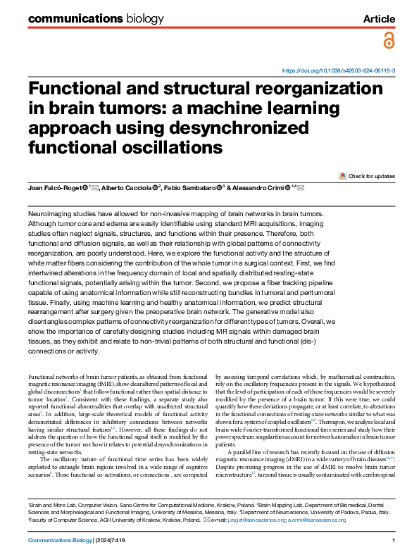 (PDF) Functional and structural reorganization in brain tumors: a ...