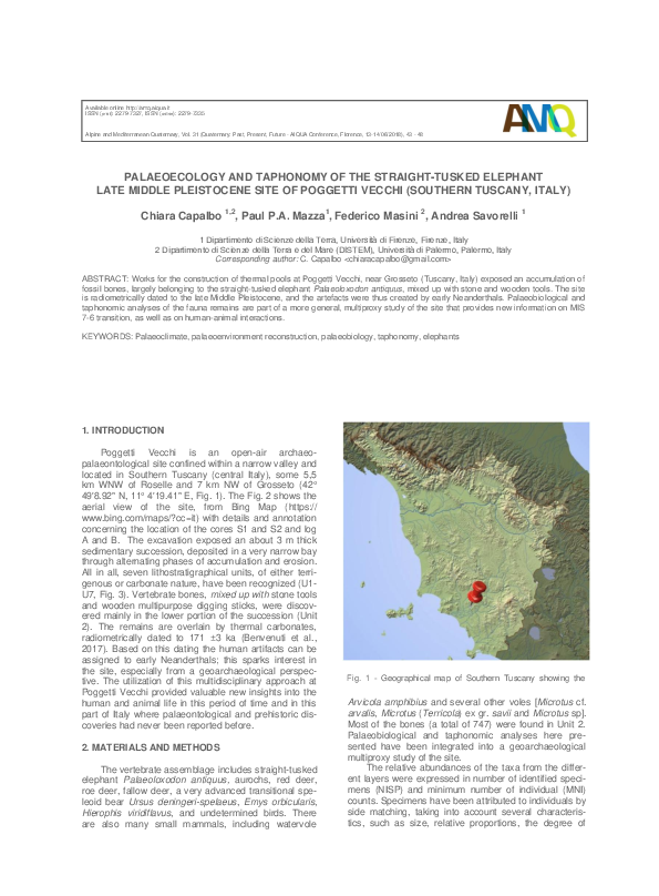(PDF) Palaeoecology and taphonomy of the Straight-Tusked Elephant late ...