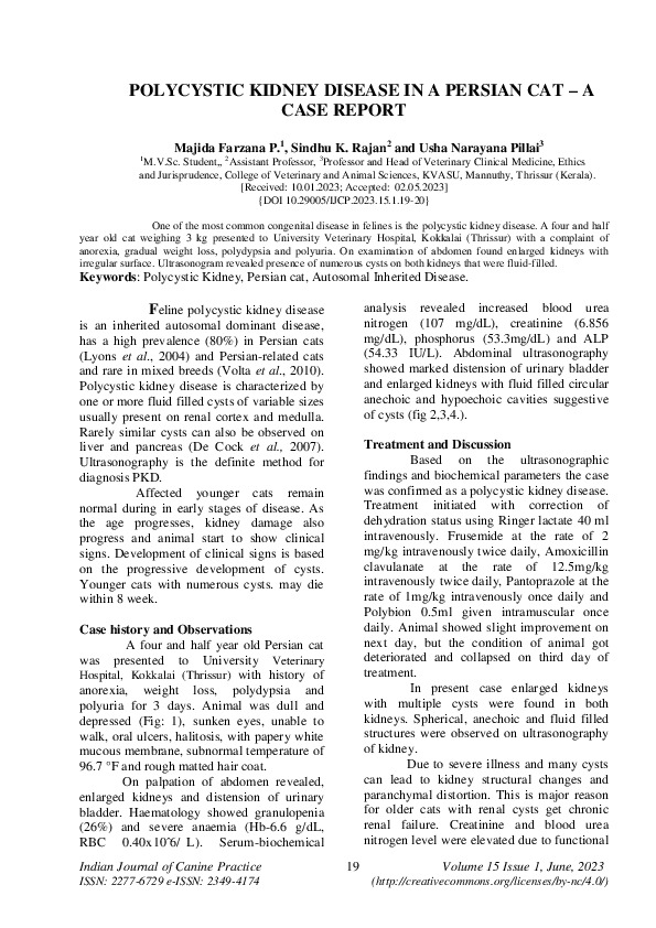 Picture of (PDF) Polycystic Kidney Disease in a Persian Cat – a Case Report