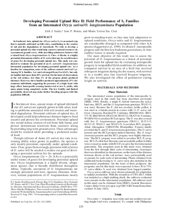 (PDF) Developing Perennial Upland Rice II
