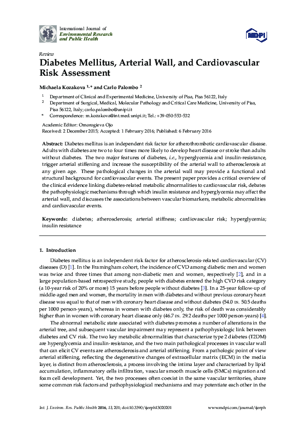 (PDF) Diabetes Mellitus, Arterial Wall, and Cardiovascular Risk Assessment