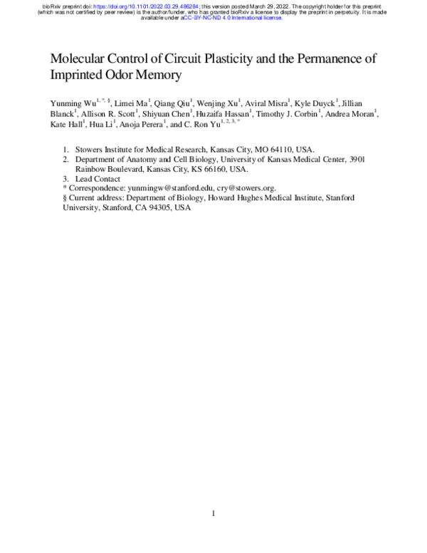 (PDF) Molecular Control of Circuit Plasticity and the Permanence of ...