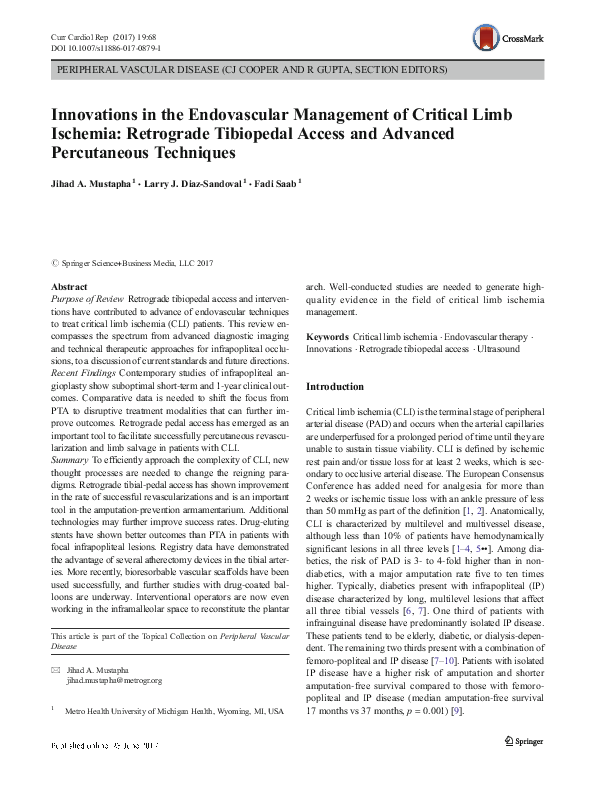 (PDF) Innovations in the Endovascular Management of Critical Limb ...
