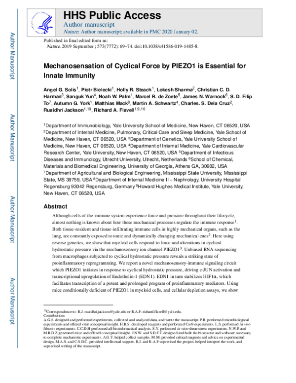 (PDF) Mechanosensation of cyclical force by PIEZO1 is essential for ...