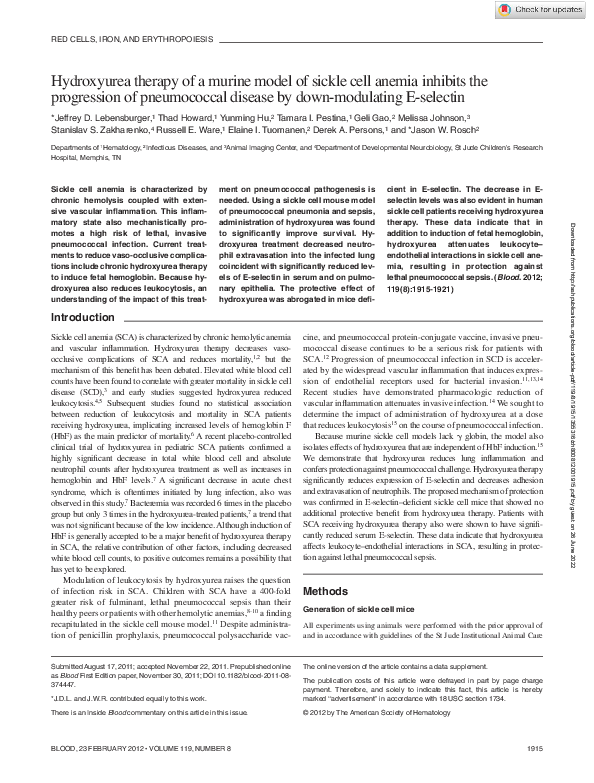 (PDF) Hydroxyurea therapy of a murine model of sickle cell anemia ...