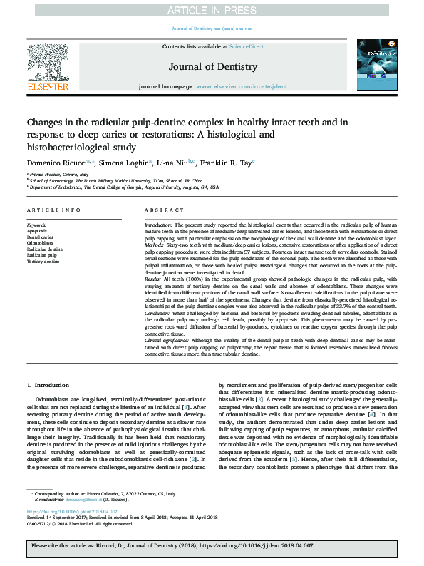 (PDF) Changes in the radicular pulp-dentine complex in healthy intact ...