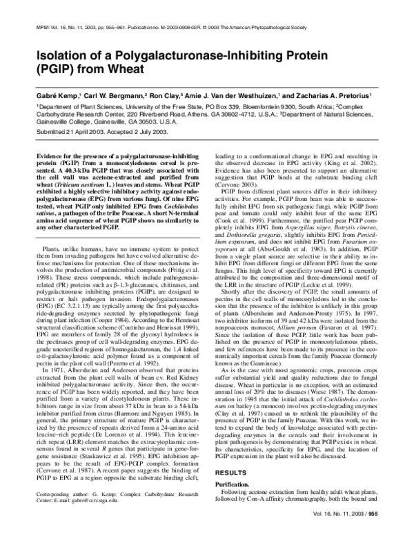(PDF) Isolation of a Polygalacturonase-Inhibiting Protein (PGIP) from Wheat