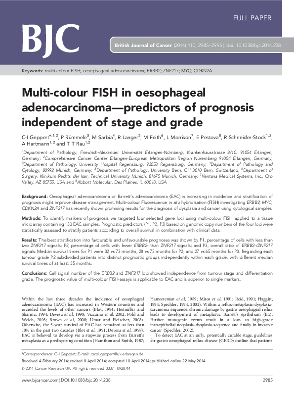 (PDF) Multi-colour FISH in oesophageal adenocarcinoma-predictors of ...